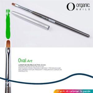 PINCEL OVAL ART